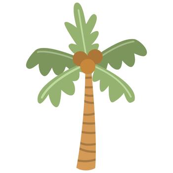 Illustration of a Palm Tree with Coconuts vector
