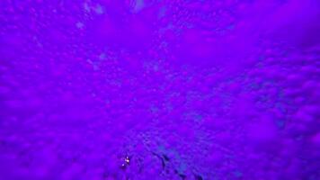caotico movimento di viola bolle nel piscina acqua con multicolore luci. astratto colorato sfondo video
