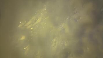 kaotisk rörelse av Färg bubblor i slå samman vatten. abstrakt färgrik bakgrund video