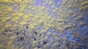 caotico movimento di bianca bolle nel piscina acqua con multicolore luci. astratto colorato sfondo video