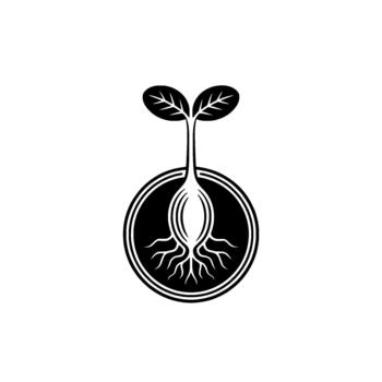 Stylized illustration depicting a seedling with two leaves and an intricate root system emerging from a seed within a circular emblem vector