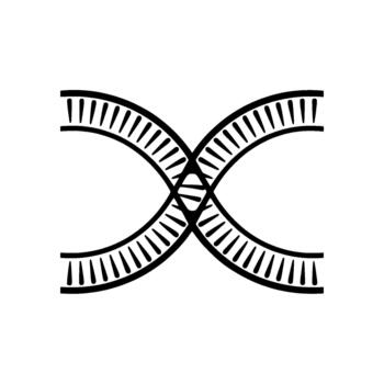 A stylized representation of interconnected double helix DNA strands crossing each other vector