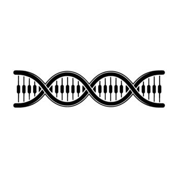 A minimalist illustration depicting a double helix DNA strand seamlessly integrated with piano keys representing the intersection of music and genetics vector