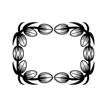 Stylized decorative rectangular frame composed of flowing lines and oval shapes resembling closed flower buds or seeds vector