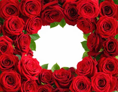 Red rose frame with green leaves surrounding white empty space in center, creating romantic and elegant floral border perfect for love messages or invitations photo