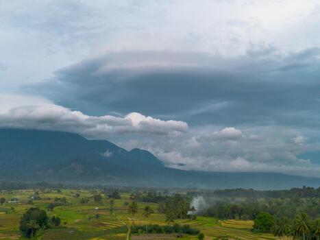 A large field with a few trees and a mountain in the background photo