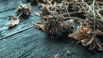 Dry Leaves and Twigs on Dark Wooden Surface with Textured Details and Natural Patterns Displaying Rustic Charm and Serenity video