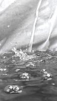 acqua gocce spruzzi su superficie nel lento movimento macro Visualizza video