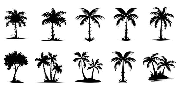 Silhouette collection of various palm trees and a leafy tree vector