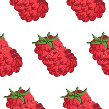 modelo con maduro frambuesa frutas con un verde cola en un blanco fondo, para temático impresión, social redes o web diseño vector