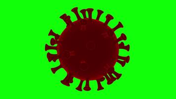 rosso tono virus rappresentazione rotazione ciclo continuo su verde sfondo video