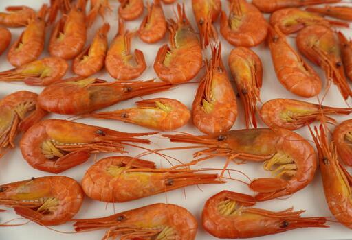 hervido camarones, puesto fuera en un grueso capa en un blanco antecedentes. parte superior vista, Rico naranja color, plano comida diseño para menús y comida soportes foto