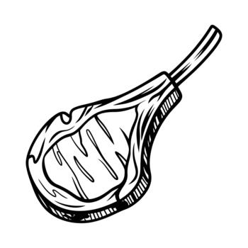 Hand drawn sketch of a single grilled lamb chop with bone on white background vector