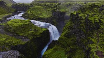 aereo Visualizza Spettacoli un' cascata immergendosi in un' basalto canyon nel rurale Islanda, con muschio rivestito lava campi, frastagliato scogliere, un' piccolo visualizzazione piattaforma, e escursionisti per scala video