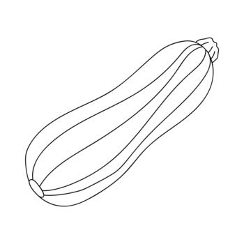 calabacín descansando en un superficie con un sencillo describir, exhibiendo sus alargado forma y detalles a crepúsculo vector