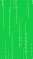 matriz estilo binário código queda chuva animação em verde tela vertical fundo video