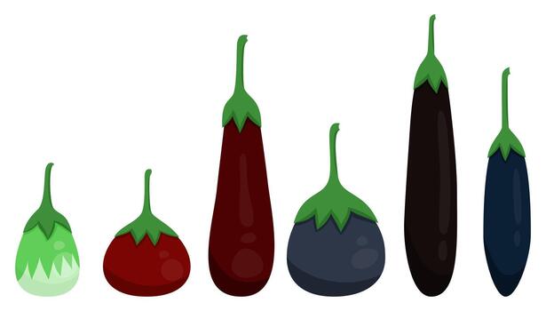 Fresh different type brinjal eggplant set with various color and shape for cookbook and vegan food vector