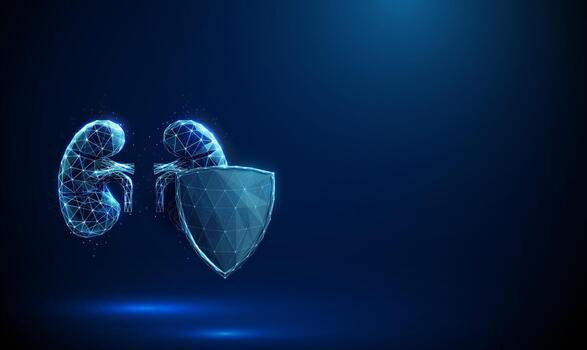 Digital kidney protection concept vector
