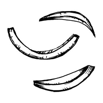 Black and white illustration of sliced onion pieces with curved layers and clean contours. Suitable for ingredient sets, cooking layouts, salad themes and pizza toppings. vector