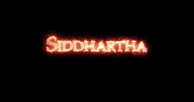 siddhartha skriven med brand. slinga video