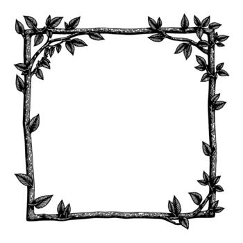 Tree Branches with Leaves Frame Decoration Square Border in Black and White Outline Line Art Drawing vector