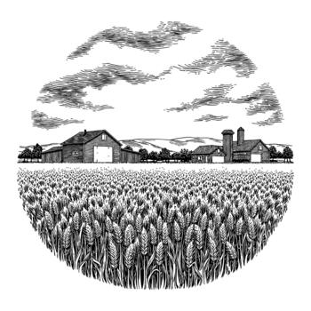 Wheat Field Farm Scenery with Barns and Clouds in Black and White Outline Line Art Drawing vector
