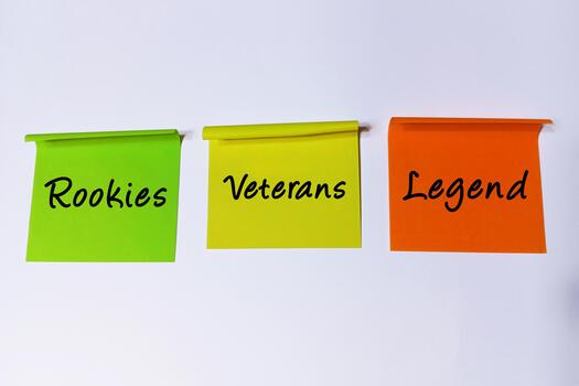 Visual representation of career progression and skill development stages, from beginner to expert, highlighting the journey of experience and achievement within an organization photo