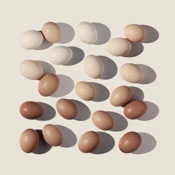 Easter eggs square pattern with gradient colored eggshell, hard Shadow at sunlight, beige background. Chicken eggs layout, top view, minimal flat lay, holiday food still life photo, trend photo