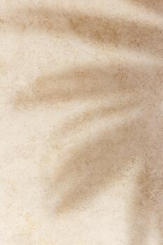 Natural palm leaf shadow on light beige sandy color background with empty space. Summer minimal concept, daylight in sunny day, top view plant shade, nature environment pattern, neutral color photo