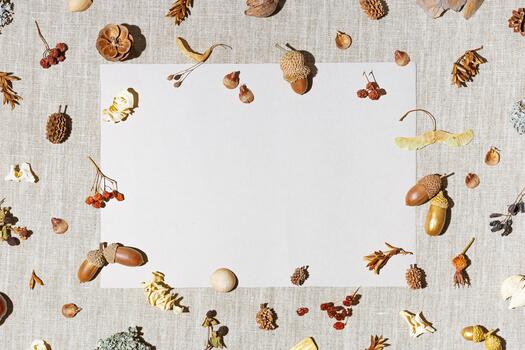 Natural elements surrounding blank paper photo