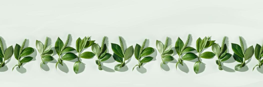 Spring tree branches with new leaf and catkins, soft green monochrome seasonal banner, Top view green young twigs with shadow. Beginning Spring nature. Botanical design frame, ecology concept photo