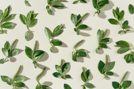 Minimal creative pattern, spring tree branches with new green leaves at sunlight with hard shadow, Top view botanical design photo, spring nature aesthetic flat lay, layout from young twigs photo