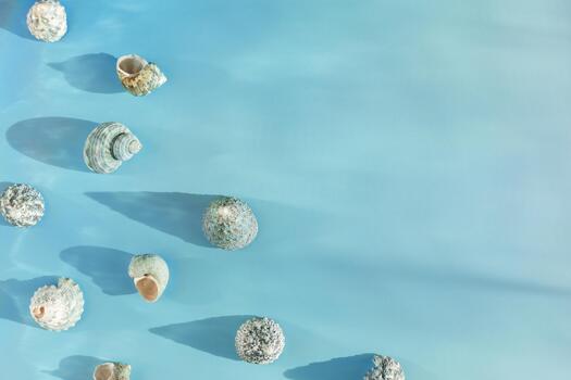 Minimal summer flat lay, abstract background with seashells at sunlight, aesthetic monochrome still life blue color, Summer vacation concept, top view natural shells with shadows, copy space photo