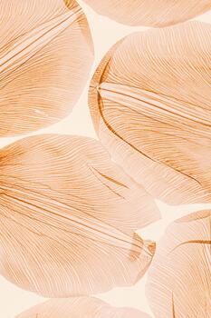 Nature pattern of macro petals, transparent leaves with natural texture as natural background or wallpaper for screen. Macro texture, skeleton flower petal. Monochrome aesthetic beauty of nature photo