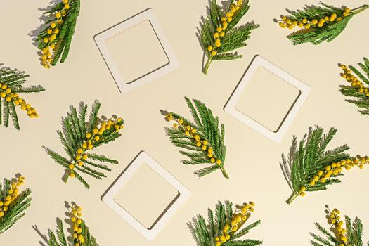 Spring holiday flower pattern, yellow mimosa and empty paper frames for text wishes on beige background, natural flowers still life, minimal aesthetic flowery layout. Top view, flat lay photo