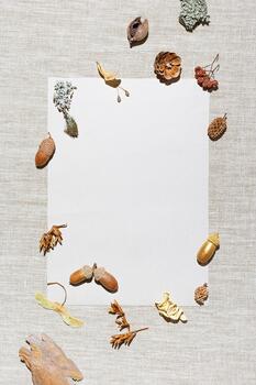 Autumn composition. Paper card, frame made of pine cones, acorns, dried plants and berries on linen fabric table, pastel gray background. Autumn, fall concept. Minimal flat lay, top view photo