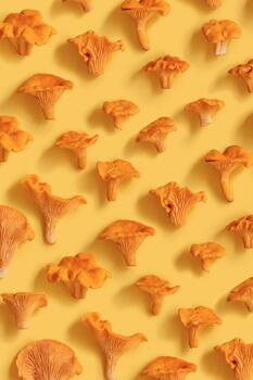 Creative linear pattern with wild forest chanterelle mushrooms on yellow background. Minimal style trendy composition, organic forms, texture of fungus. Autumn healthy eco food aesthetics concept. photo