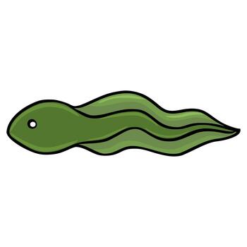 A stylized green tadpole with a single eye and flowing tail, rendered as a clean graphic with bold black outlines and subtle gradient shading, isolated on a white background. vector