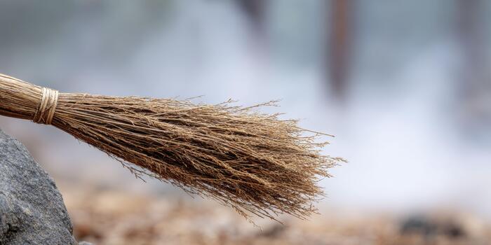 A macro shot of a witch's broom bristles, highlighting their rough, straw-like texture and frayed ends, with a blurred wooden handle and a misty forest floor in the background. photo