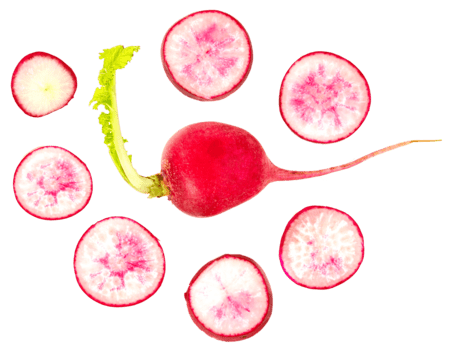 totale rosso ravanello con verde le foglie e parecchi sezioni trasversali disposte intorno a. vivace colori e fresco struttura per salutare mangiare e cucinando concetti. png