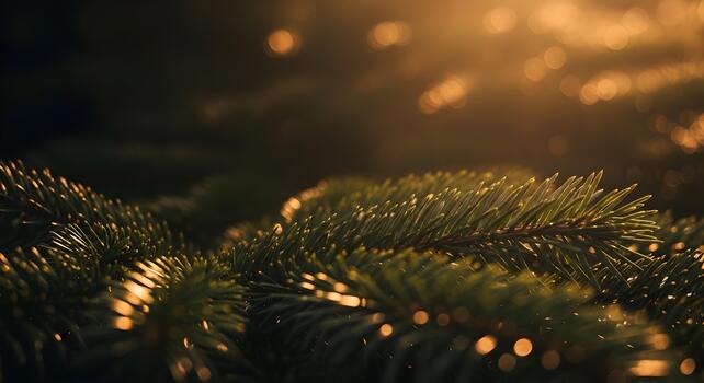 Close-up of sunlit evergreen needles with bokeh background creating depth photo