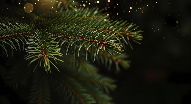 A festive close-up of a fir tree branch with shimmering bokeh lights photo