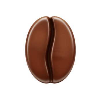 Isolated 3d rendering of a coffee bean on a transparent background for design resources png