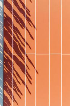 Running Track Surface Aerial View with Shadows from Fitness Activity for Health and Training on Sunny Day photo
