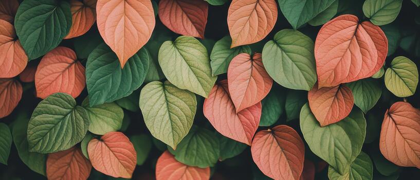 Close up pattern of green and orange leaves overlapping, showing natural textures and autumn colors photo