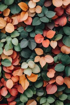 Rich tapestry of lush green leaves transitioning to warm orange and deep red hues, creating a vibrant, natural wall surface. photo
