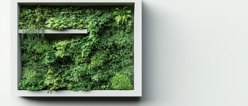 Lush green plants create a vertical garden inside a white square frame on a light background. photo