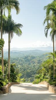 Palm trees frame a path leading down to a lush, green forest valley with distant blue mountains under a clear sky. photo