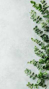 Green vine leaves climbing on a textured light grey background, top view, natural organic growth pattern. photo