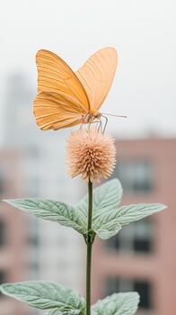 Orange butterfly rests on a fuzzy bloom atop a plant with large green leaves. photo